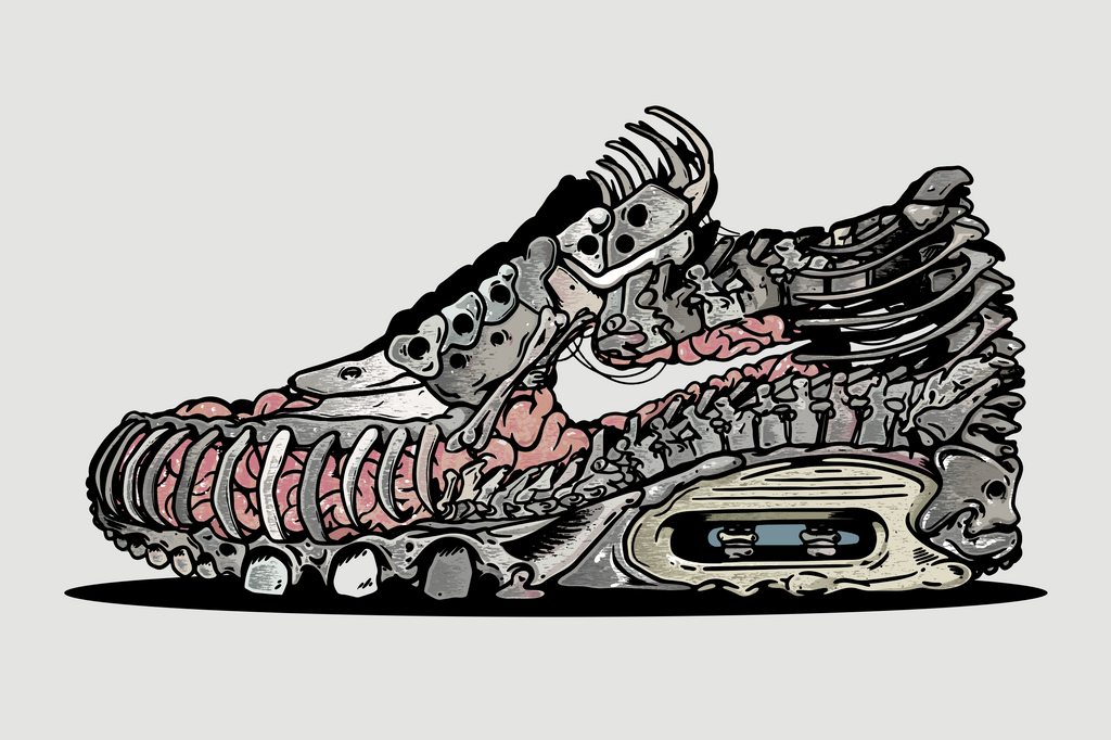 Sneaker Anatomy